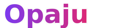 Conseils pour Explorer des Nouveaux Outils | opaju.com